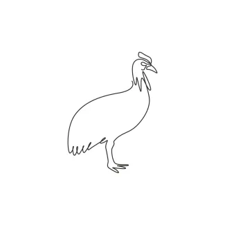 One Line Exotic Cassowary Drawing: Practice Rare Bird Forms with Simplicity