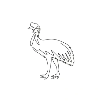 One Line Drawing of Endangered Cassowary: Practice Unique Bird Shapes for Awareness