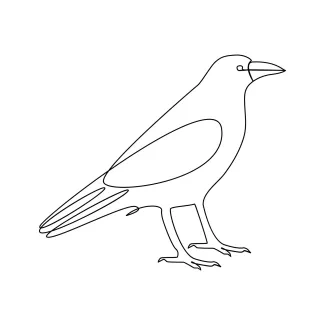 One Line Crow Bird Drawing for Learning Animal Proportions the Simple Way