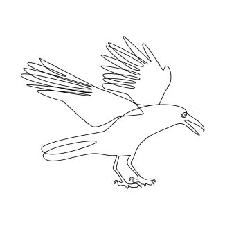 Practice One Line Crow Drawing to Strengthen Art Skills at Any Level