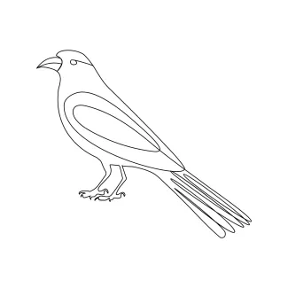 Crow Drawing Using One Line to Build Control and Simplicity in Everyday Art