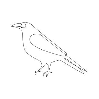 "Minimalist Crow Drawing: A One Line Approach to Capturing Bold Silhouettes"