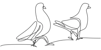 Simple One-Line Drawing of Dove Couple: Learn Symmetry and Form in Minimalist Style