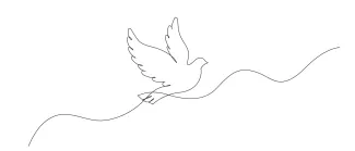 Peace Dove Drawing in One Line: Easy Bird Sketching to Express Calm and Freedom