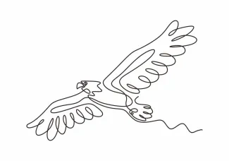 "One Line Drawing of an Eagle or Hawk: A Minimalist Approach to Strength"