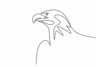 "One Line Eagle or Falcon Head Drawing: A Simple Way to Depict Focus and Power"