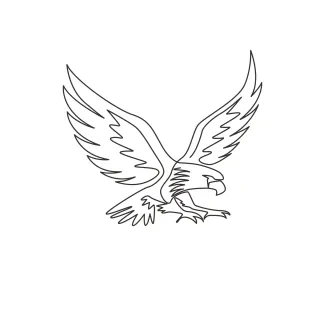 One Line Drawing of a Strong Eagle-Falcon: Learn Bold Bird Forms with Ease