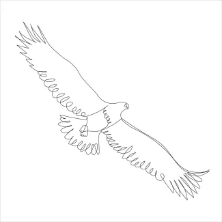 "One Line Soaring Eagle Art: A Minimalist Approach to Powerful Bird Forms"