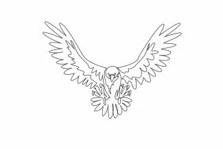 Strong Bald Eagle One Line Drawing: Study Powerful Bird Shapes with Simple Technique