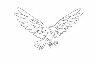 Bald Eagle Predator Drawing: Practice Sharp Bird Features in Simple One Line Art