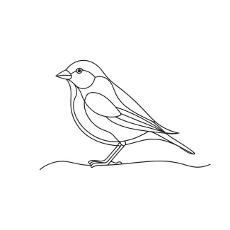 "Minimalist Finch Bird Drawing: A One Line Study of Small and Energetic Forms"