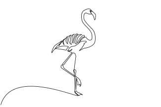 One Line Flamingo Drawing: Explore Animal Proportion with Simple Art for Beginners