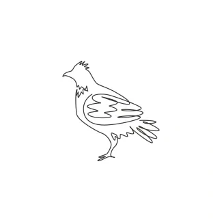 "Minimalist One Line Grouse Drawing: Capturing a Fast-Flushing Bird in Simple Art"