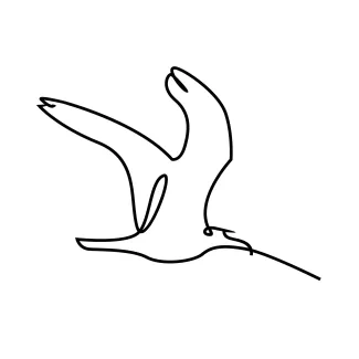 One-Line Seagull in Flight: Explore Shape and Space with a Minimal Drawing