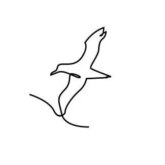 One-Line Seagull Flight Drawing: Develop Light Motion and Wing Shapes in Art