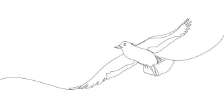 "One Line Seagull Art: A Minimalist Approach to Motion in Drawing"