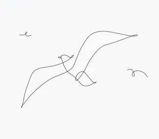 "One Line Seagull Sketch: A Simplified Approach to Capturing Coastal Bird Motion"