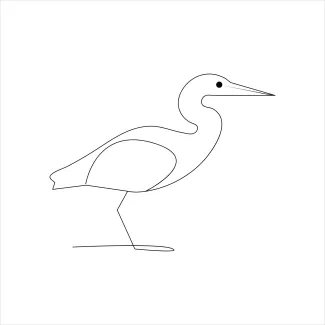 One-Line Drawing of Heron in Flight to Learn Proportions with Simplicity