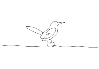 One Line Cute Hummingbird Drawing: Small, Fun Bird for Practice and Detail