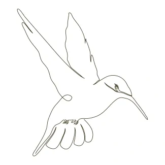 One-Line Hummingbird Sketch: Practice Quick Wing Motion and Delicate Forms