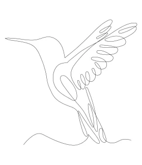 "Minimalist Hummingbird Sketch: A One Line Study of Tiny and Lively Bird Shapes"