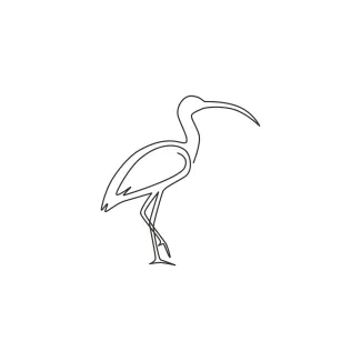 "One Line Ibis Drawing: A Minimalist Illustration of Elegance and Precision"