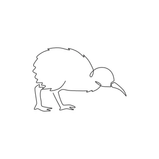 Funny Kiwi One Line Drawing: A Playful Way to Practice Drawing Real Birds