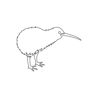 Easy Kiwi Bird Drawing in One Line: Practice Simple Animal Shapes for All Ages