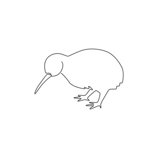 One Line Cute Kiwi Bird Sketch: Learn to Draw with Humor and Simplicity