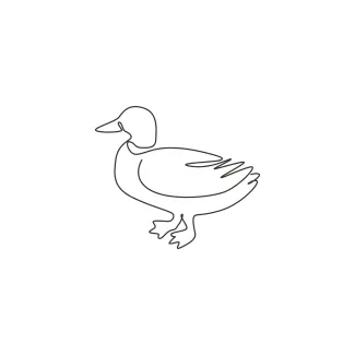 "Minimalist One Line Mallard Drawing: Capturing a Familiar and Friendly Waterbird"