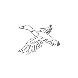 "One Line Mallard Drawing: A Minimalist Approach to Capturing Motion and Elegance"