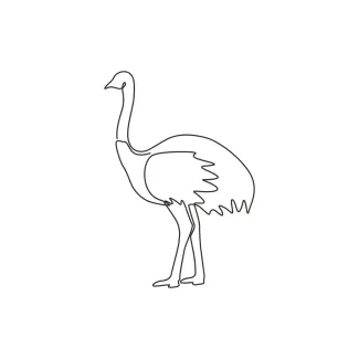"One Line Ostrich Drawing: A Minimalist Study of the World's Largest Bird"