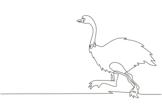 One-Line African Ostrich Drawing: Explore Big Bird Shapes in Simple Drawing Practice