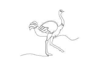 Simple One-Line Ostrich Drawing: Learn Big Bird Shapes with Easy Art Practice