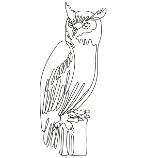 "One Line Tiger Owl Drawing: A Minimalist Illustration of a Rare and Striking Bird"