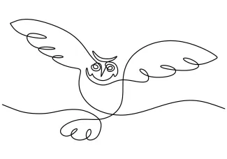 One-Line Drawing of a Flying Owl: Practice Natural Form in Simple Bird Sketching