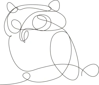 Simple One-Line Owl Drawing: Develop Line Focus Using a Popular Forest Bird