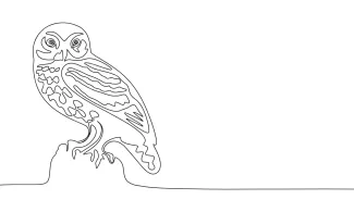 One-Line Night Owl Drawing: Learn to Sketch Forest Birds with Big Eyes