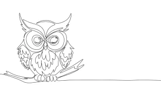 "One-Line Owl Drawing: A Minimalist Approach to Capturing Nocturnal Charm"