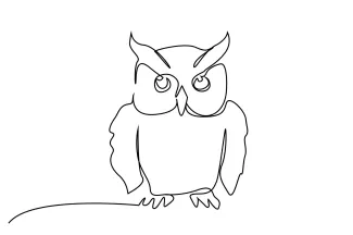 One Line Owl Drawing for Beginners: Learn Bird Features with Clear and Simple Shapes