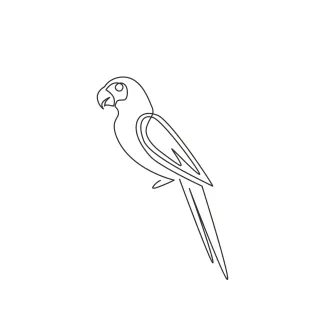 Cute Parrot Bird With Long Tail Aves One Line Parrot Drawing with Long Tail: Practice Fun Bird Shapes in a Simple Way