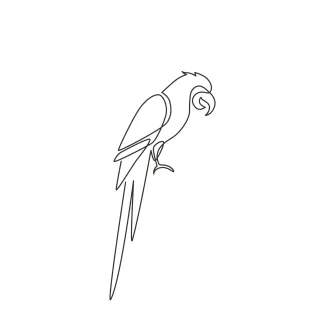Parrot Bird With Long Tail Wing Feather "Minimalist One Line Parrot Drawing: Capturing Elegance in Flight"