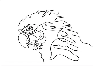 Parrot Bird Easy One-Line Drawing of a Parrot Bird to Learn Curves and Features