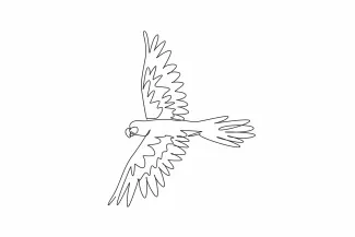 Beauty parrot bird flying high Flying Parrot Drawing in One Line: Practice Open Wings and Body Movement