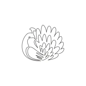 "One Line Peacock Drawing: A Minimalist Approach to Elegance and Display"