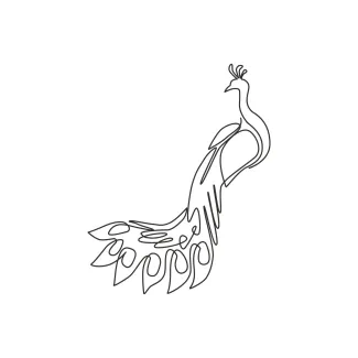 "Minimalist One Line Peacock Drawing: Capturing Vibrance and Elegance in Simple Art"