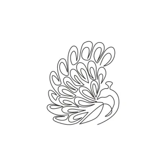 "One Line Peacock Drawing: A Minimalist Approach to Capturing Ornate Elegance"