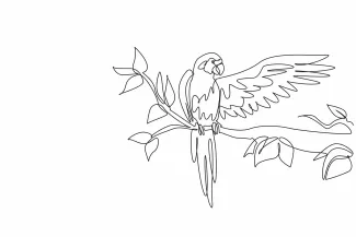 One Line Macaw Drawing: Learn to Draw Friendly Parrot Forms with Simple Lines