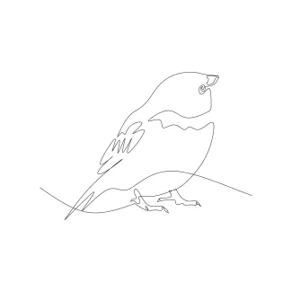 Sparrow One-Line Sparrow Drawing: Practice Tiny Bird Forms with Easy Line Work