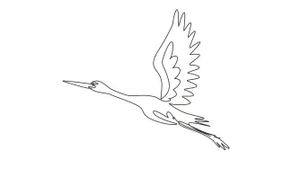 Storks Flying One-Line Flying Storks Drawing: Learn Wing Shapes and Movement in Minimal Form